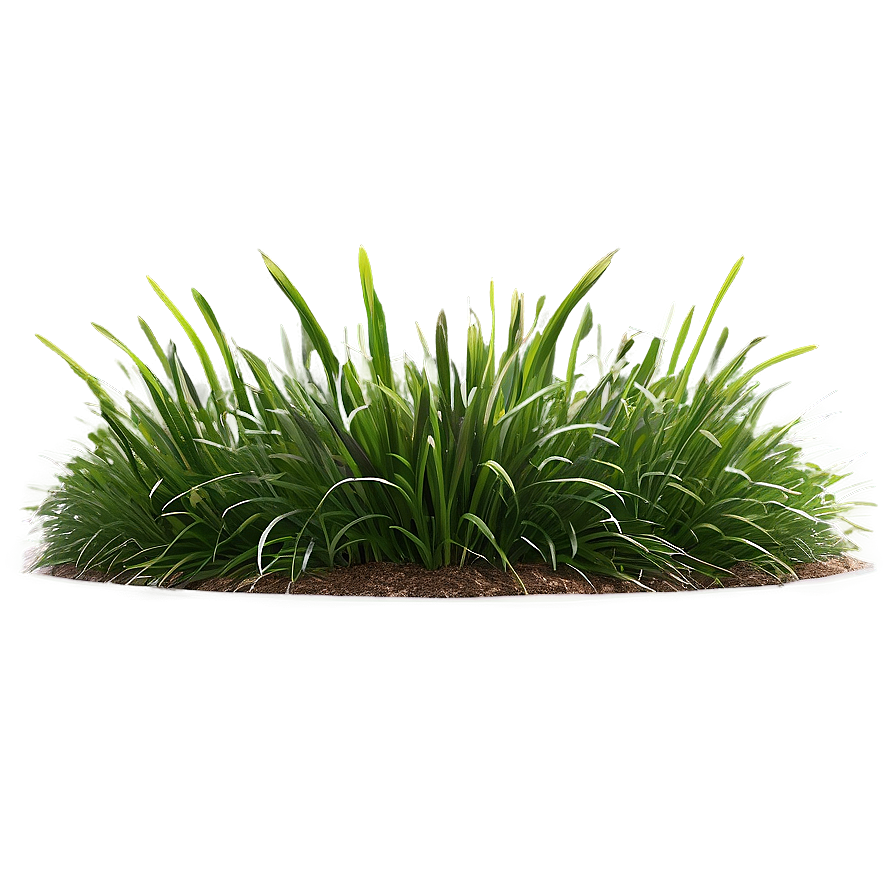 Landscape Grass Design Png 53 PNG Image