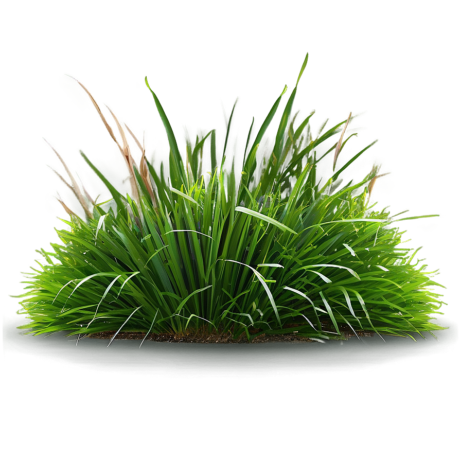 Landscape Grass Design Png 90 PNG Image