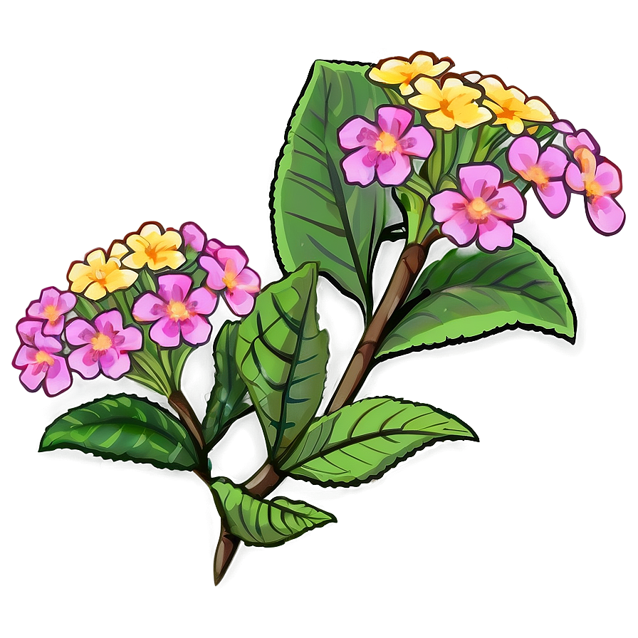 Lantana Flower Illustration Png Uhd1 PNG Image