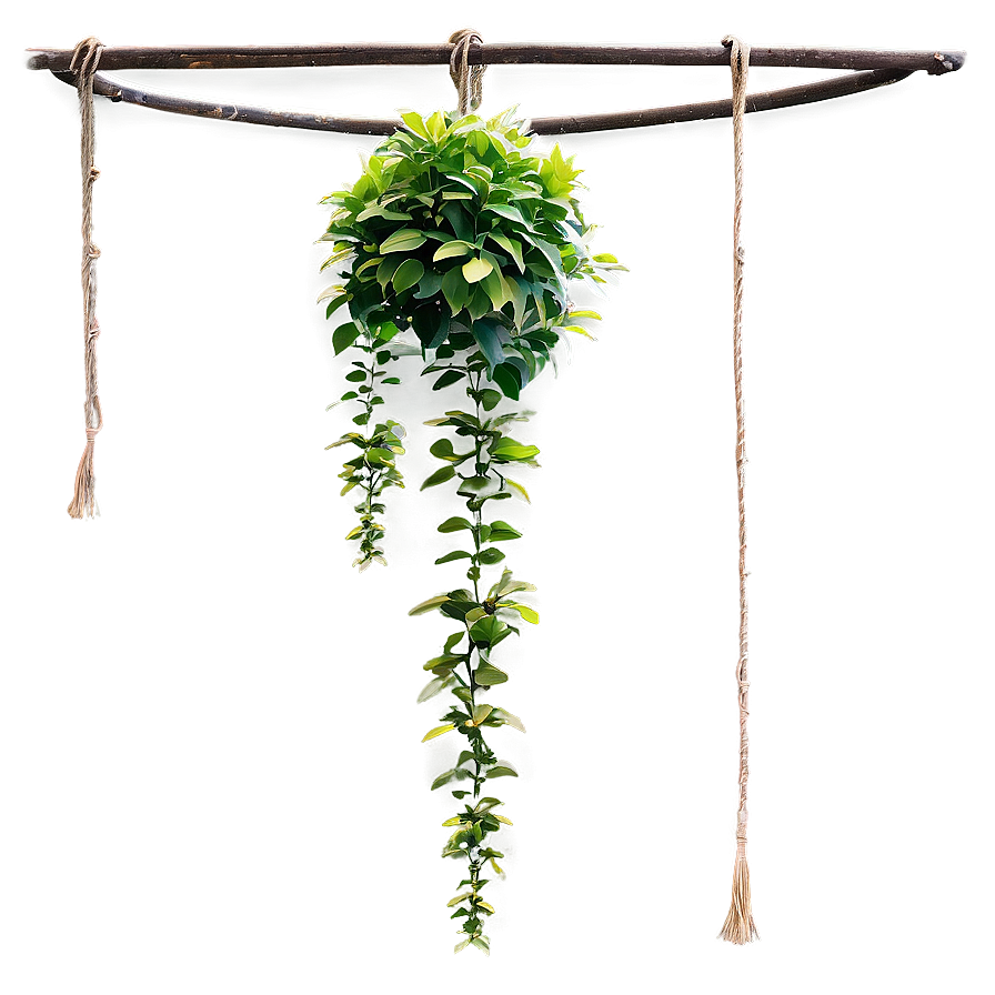 Large Hanging Plant Png 9 PNG Image