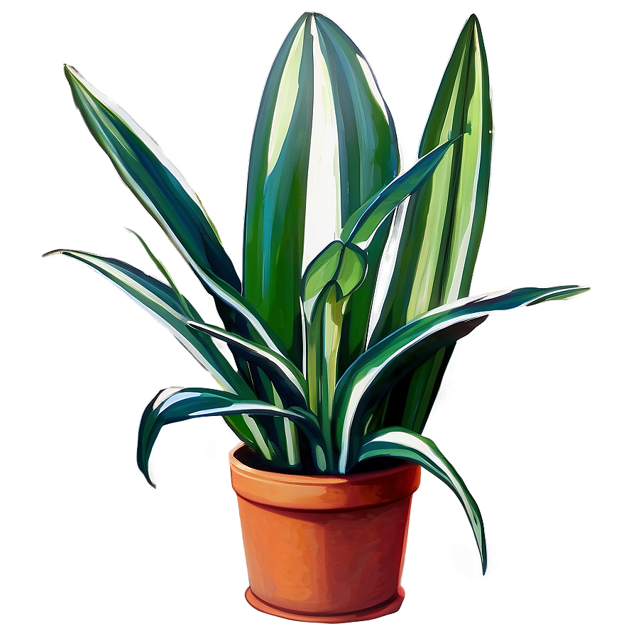 Large Snake Plant Png Etm PNG Image