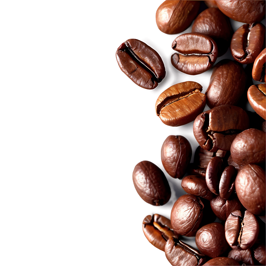 Latin American Coffee Beans Png 06292024 PNG Image