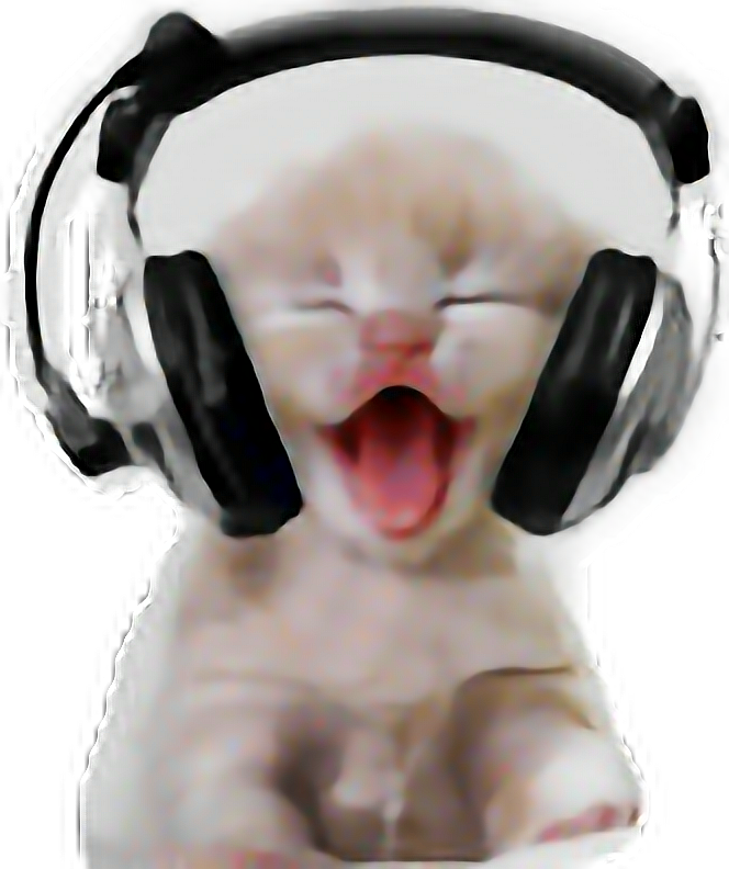 Laughing Catwith Headphones.png PNG Image