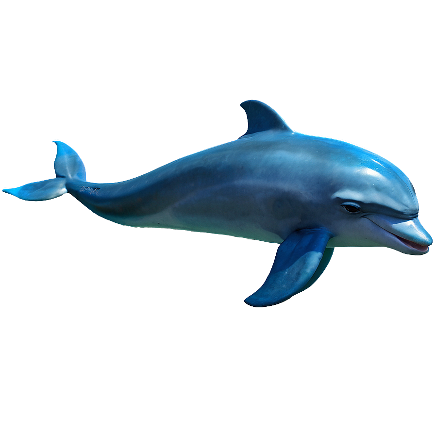 Laughing Dolphin Png Vvb PNG Image