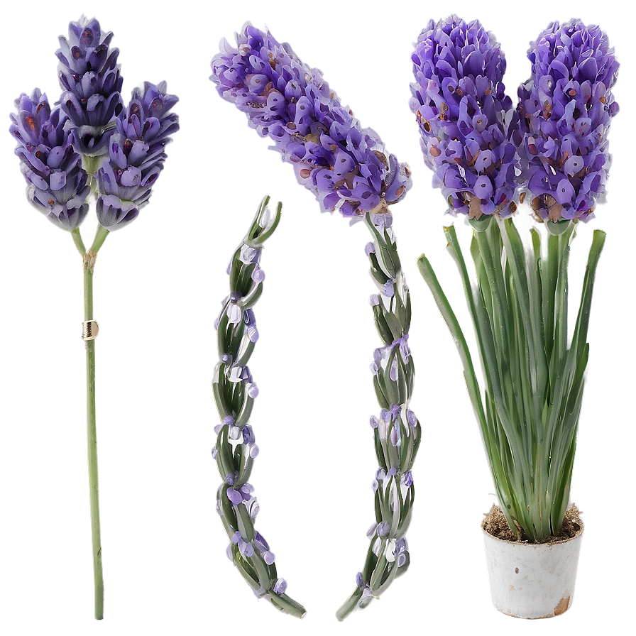 Lavender Bedroom Decor Png Mho PNG Image