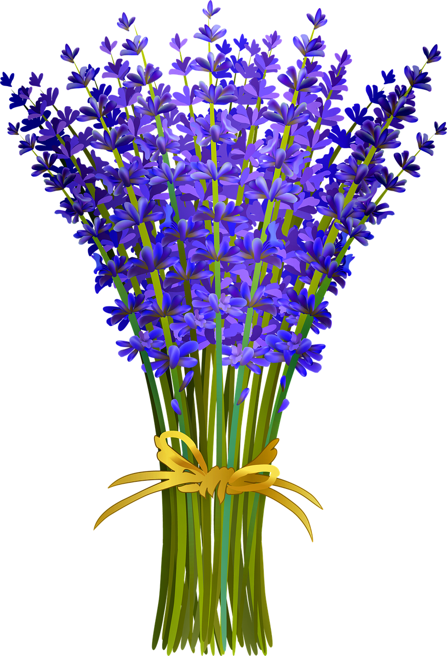 Lavender Bouquet Illustration PNG Image