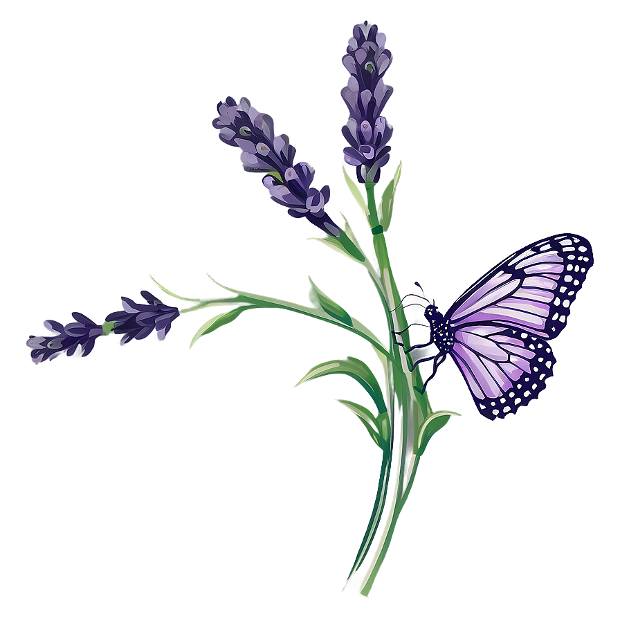 Lavender Butterfly Illustration Png 05232024 PNG Image