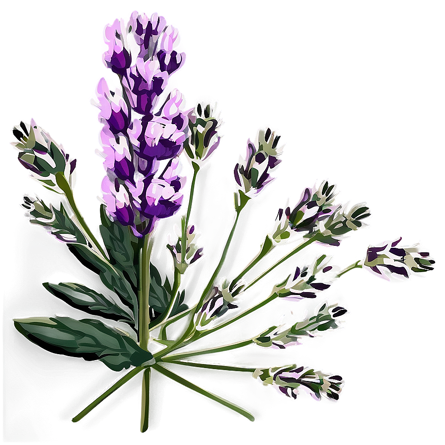 Lavender Floral Arrangement Png Sdg35 PNG Image