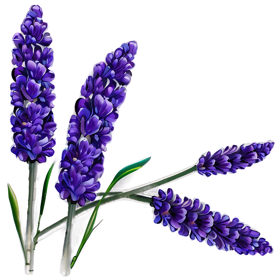 Lavender Floral Design Png 76 PNG Image