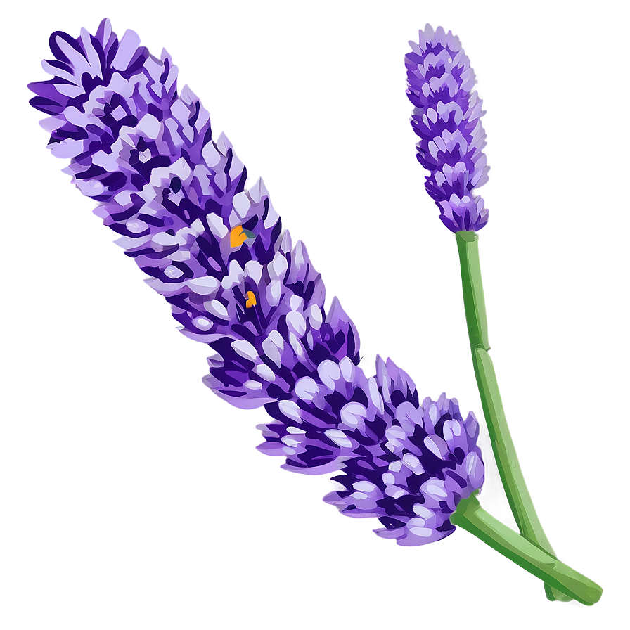 Lavender Floral Png Ole38 PNG Image