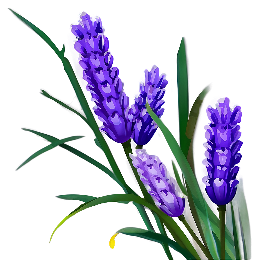 Lavender Flower Art Png 05252024 PNG Image