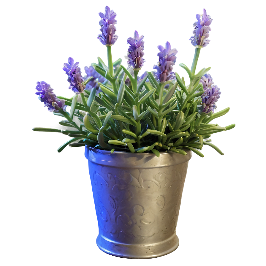 Lavender Flower Bush Png 06122024 PNG Image