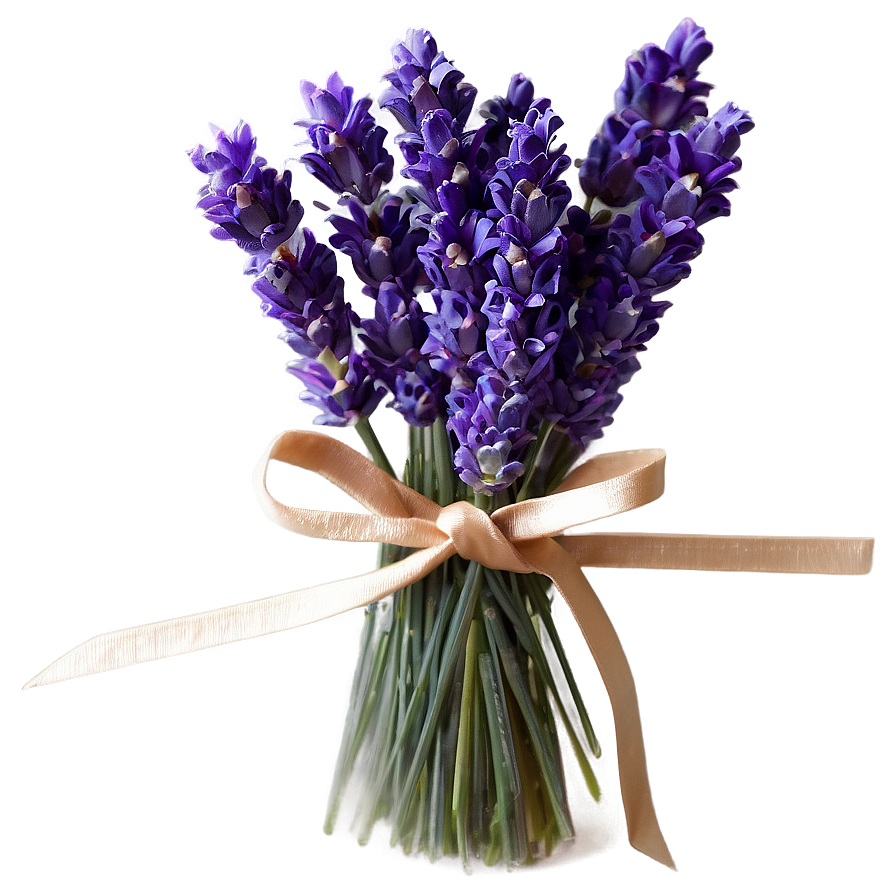 Lavender Greeting Card Png 05062024 PNG Image