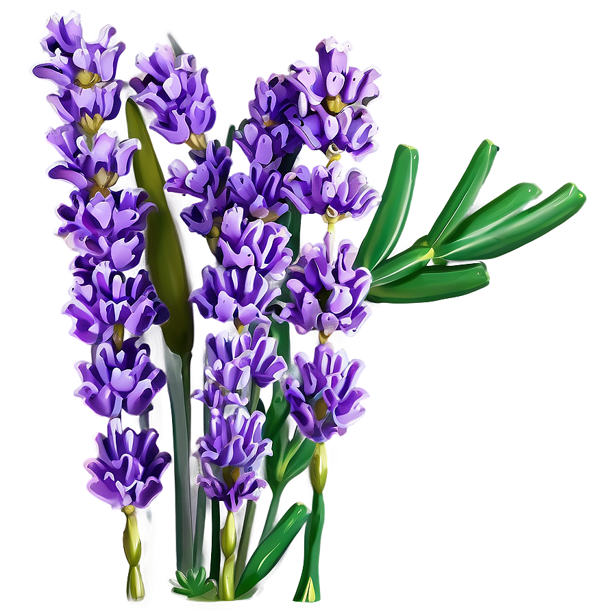 Lavender Greeting Card Png 05062024 PNG Image