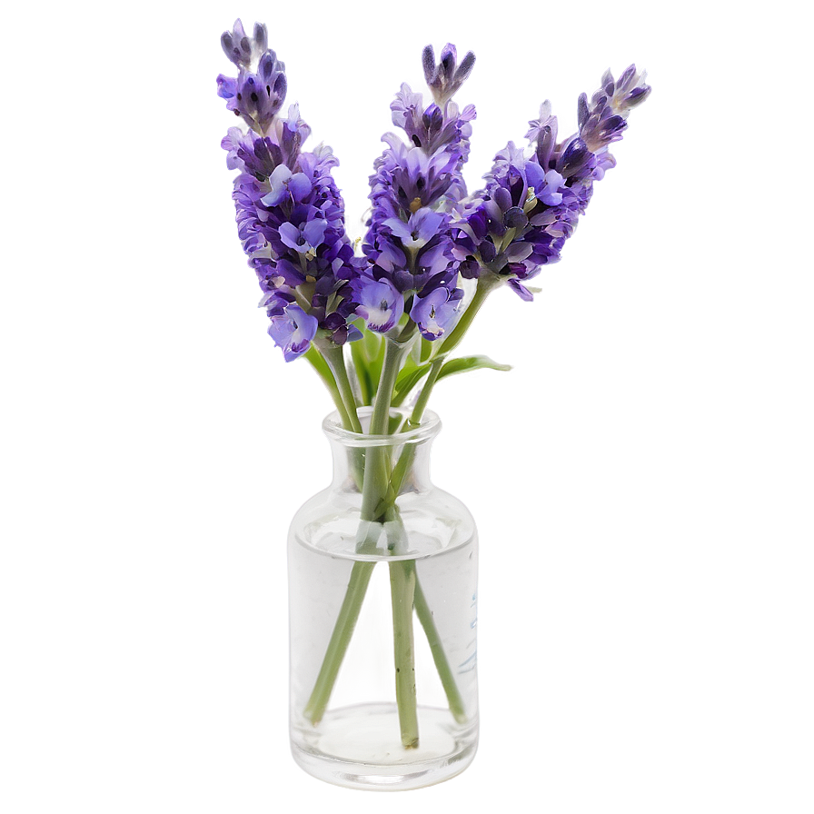 Lavender In Vase Png 98 PNG Image