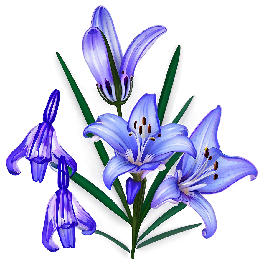 Lavender Lily Png 28 PNG Image