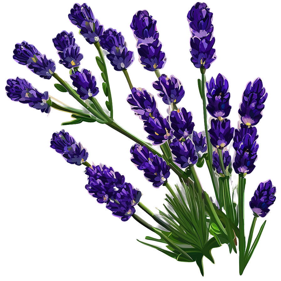 Lavender Nature Scene Png Bce70 PNG Image