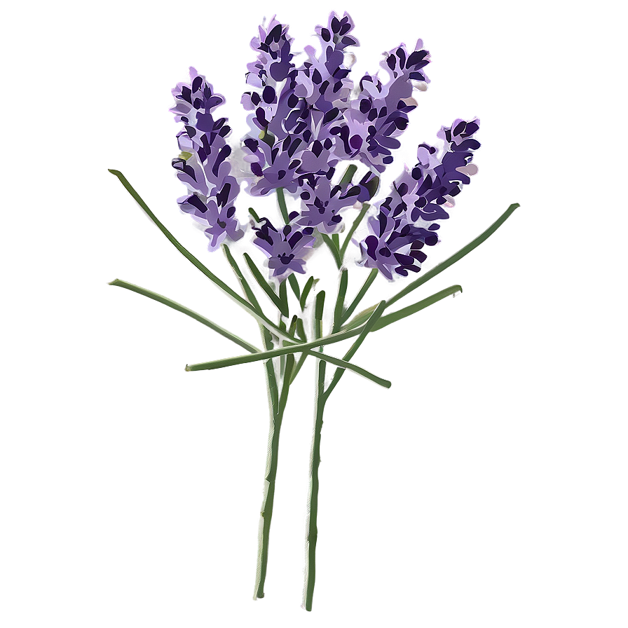 Lavender Plant C PNG Image