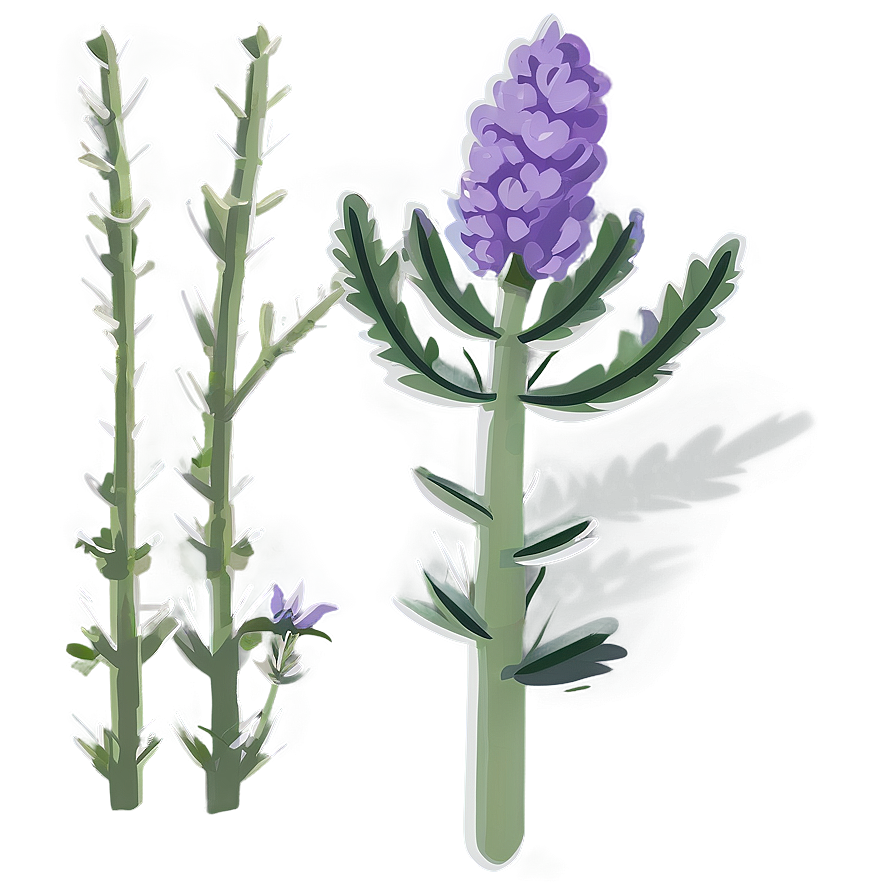 Lavender Plant Flat Design Png 64 PNG Image