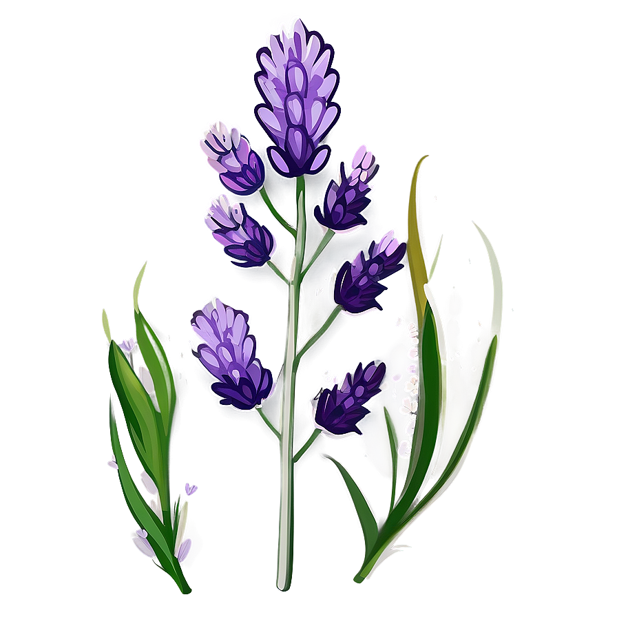 Lavender Plant Flat Design Png Bol9 PNG Image