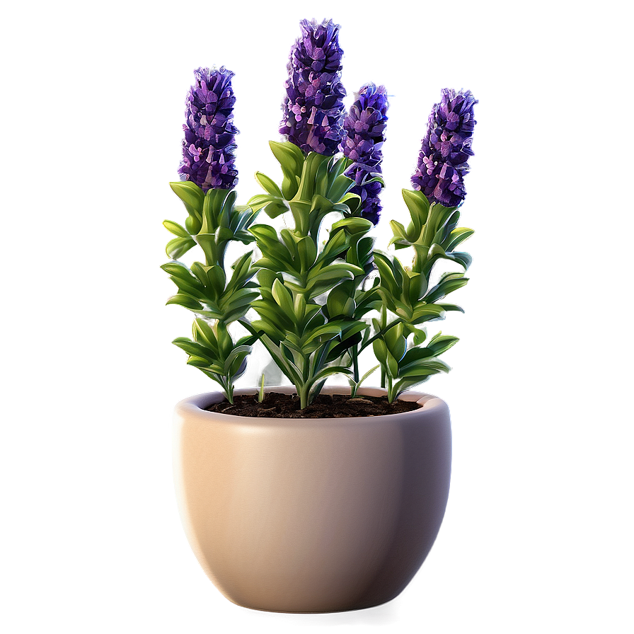 Lavender Plant In Pot Png Vjg PNG Image