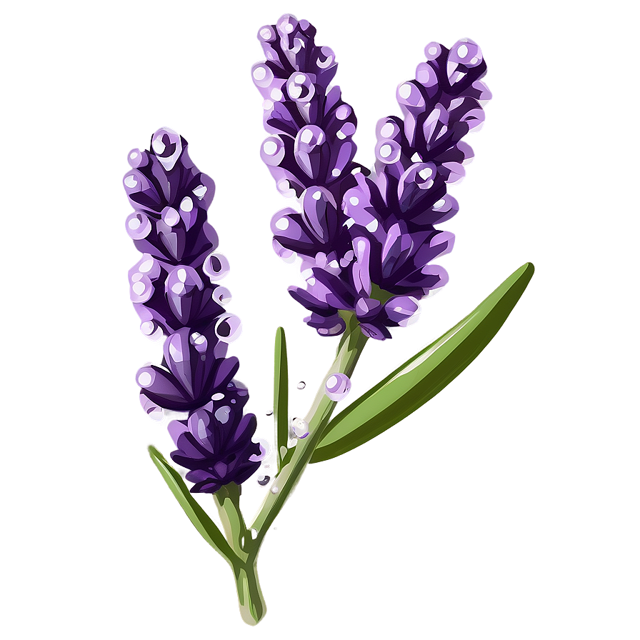 Lavender Sprig Water Droplets Png Wff PNG Image