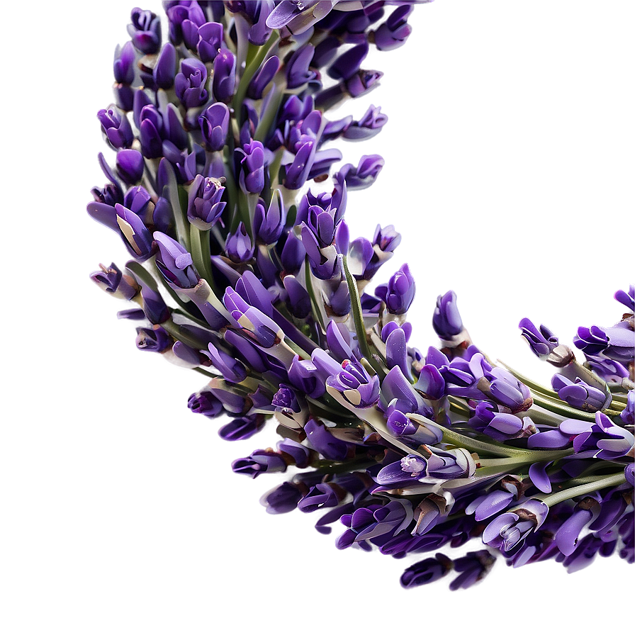 Lavender Wreath Circle Png Tey PNG Image