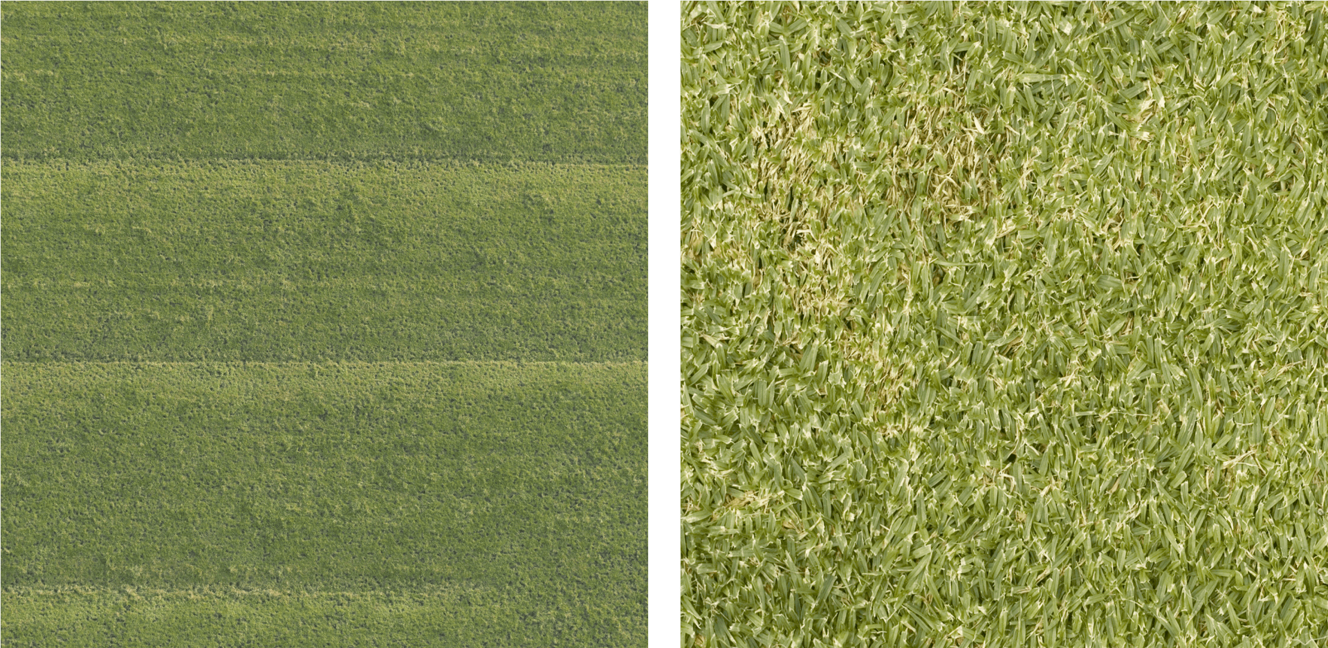 Lawn Grass Textures Comparison PNG Image