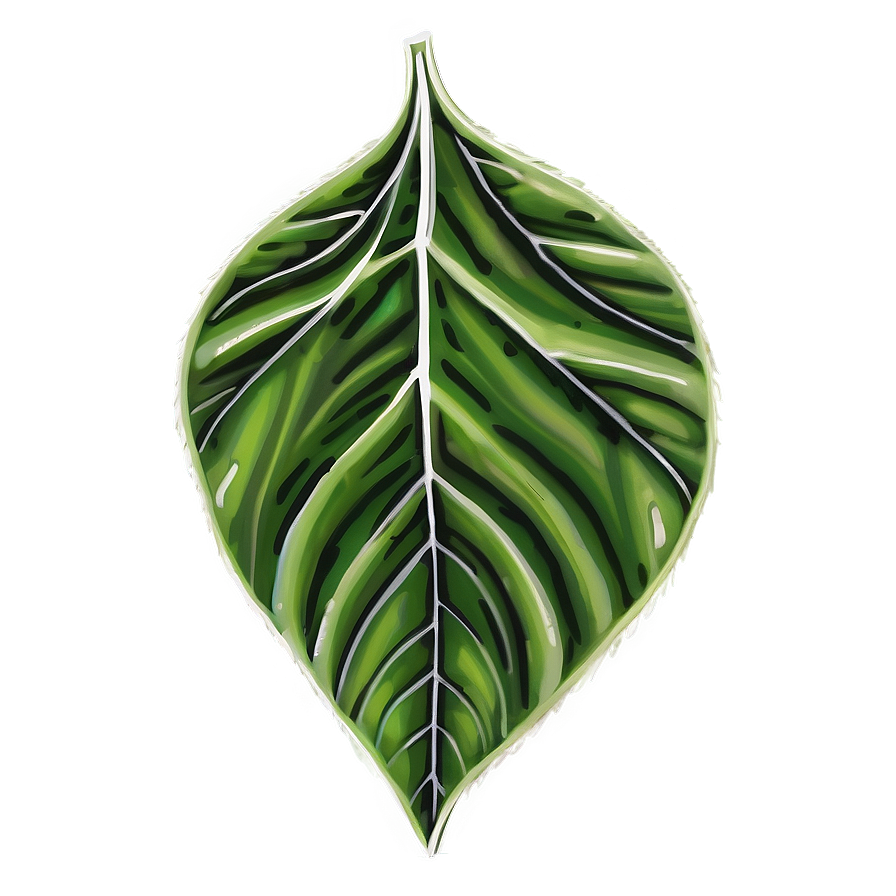 Leaf Drawing Png 05032024 PNG Image