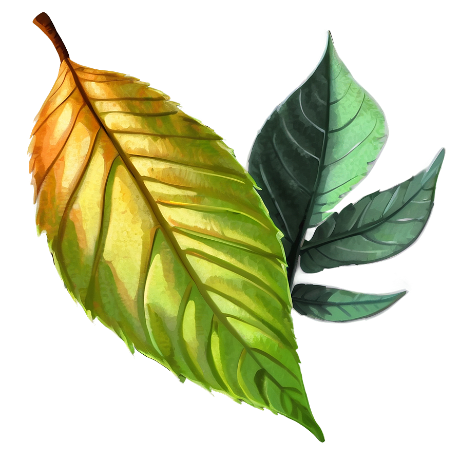 Leaf Sketch Png Xeo63 PNG Image