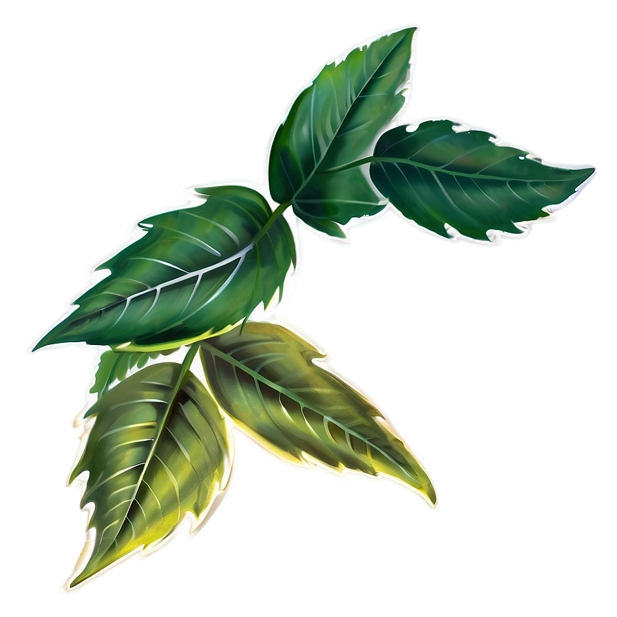 Leaf Spray Png Hqe PNG Image