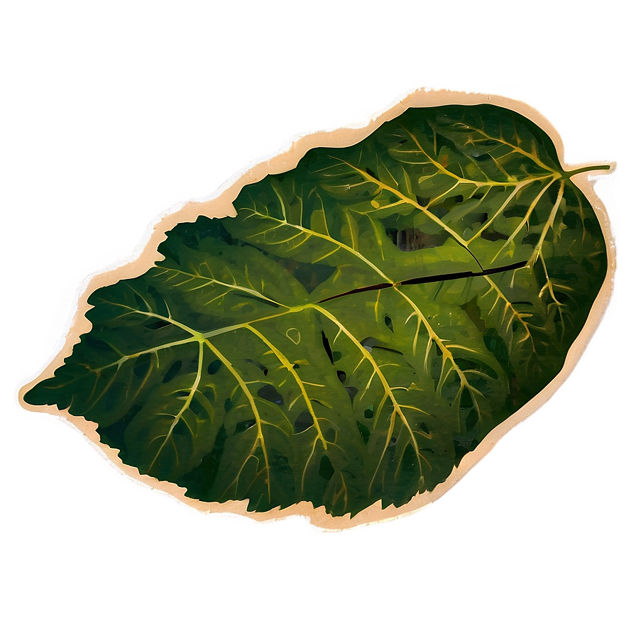 Leaf Stamp Png 05032024 PNG Image