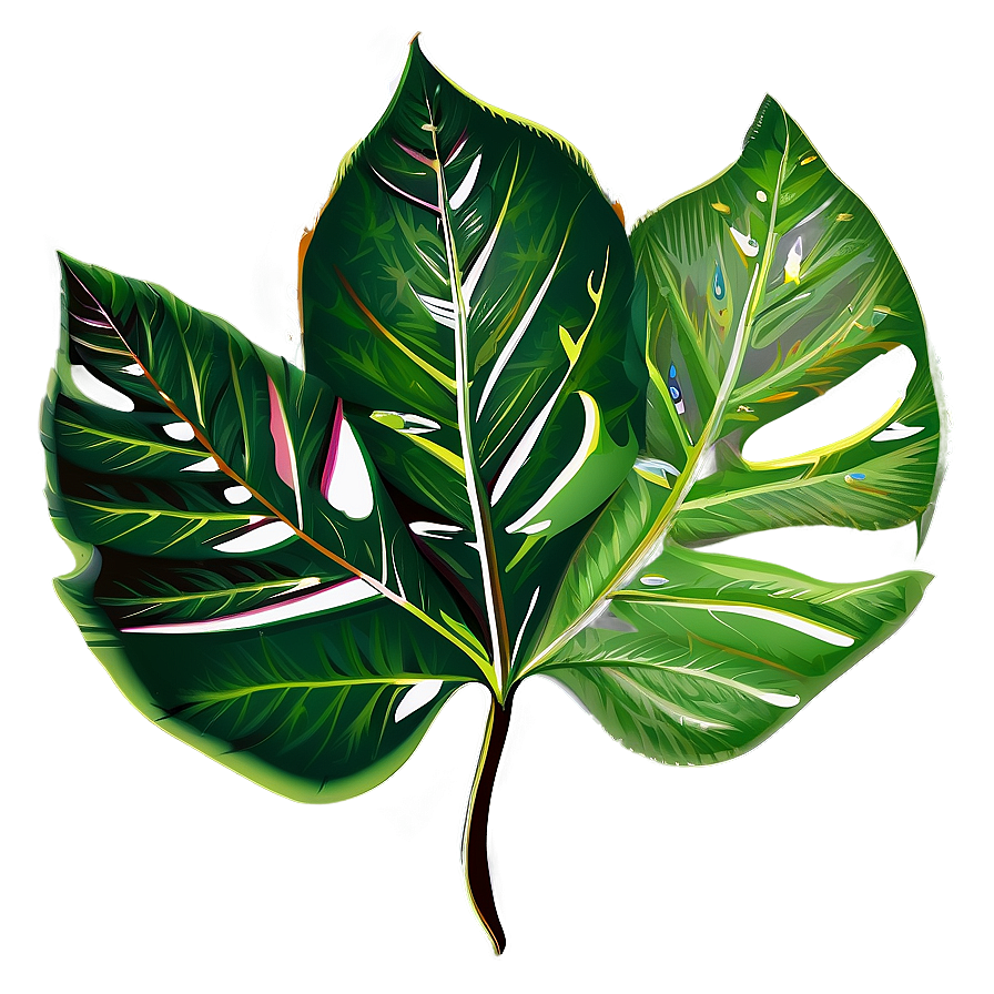 Leaf Vector Png 05032024 PNG Image