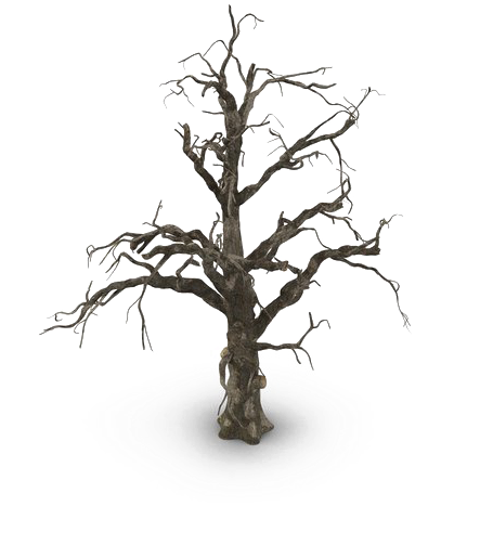 Leafless Treein Winter Snow PNG Image