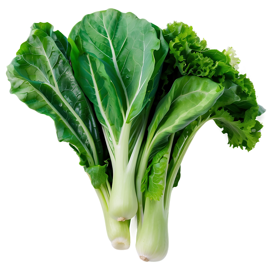 Leafy Greens Vegetables Png 49 PNG Image