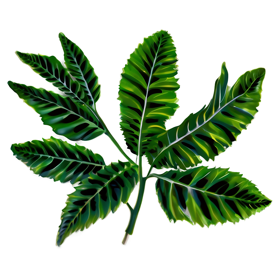 Leafy Plant Png Wtl8 PNG Image