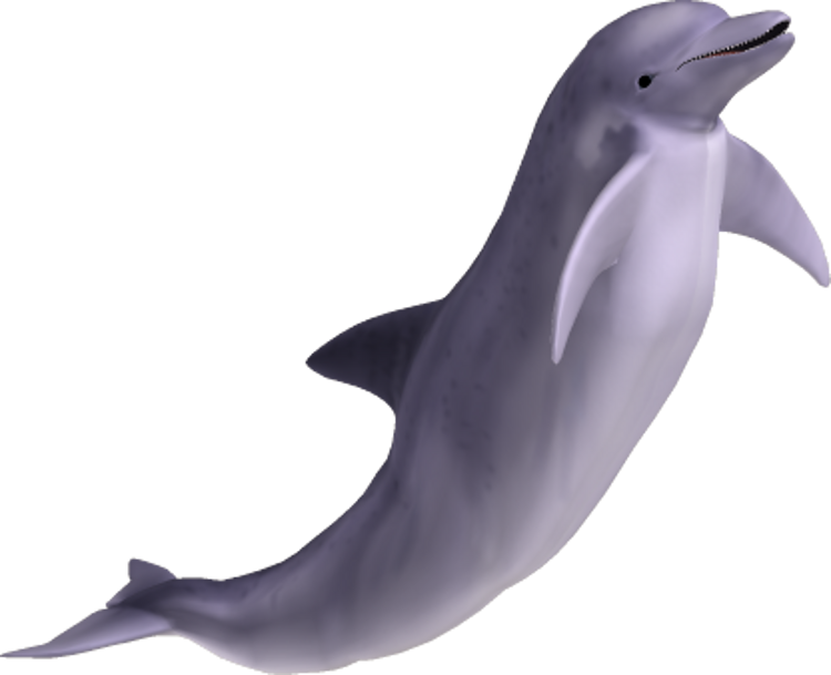 Leaping Dolphin3 D Render PNG Image