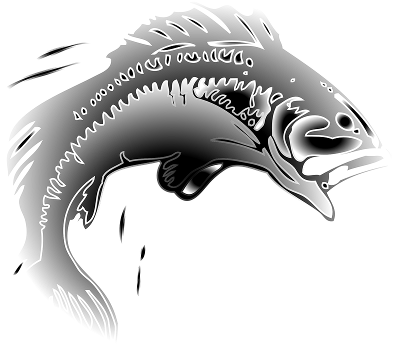 Leaping Fish Graphic PNG Image