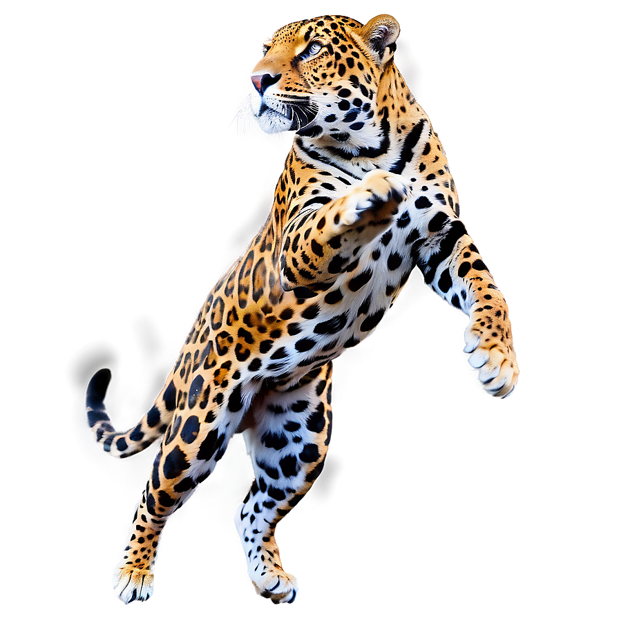 Leaping Jaguar Png 46 PNG Image