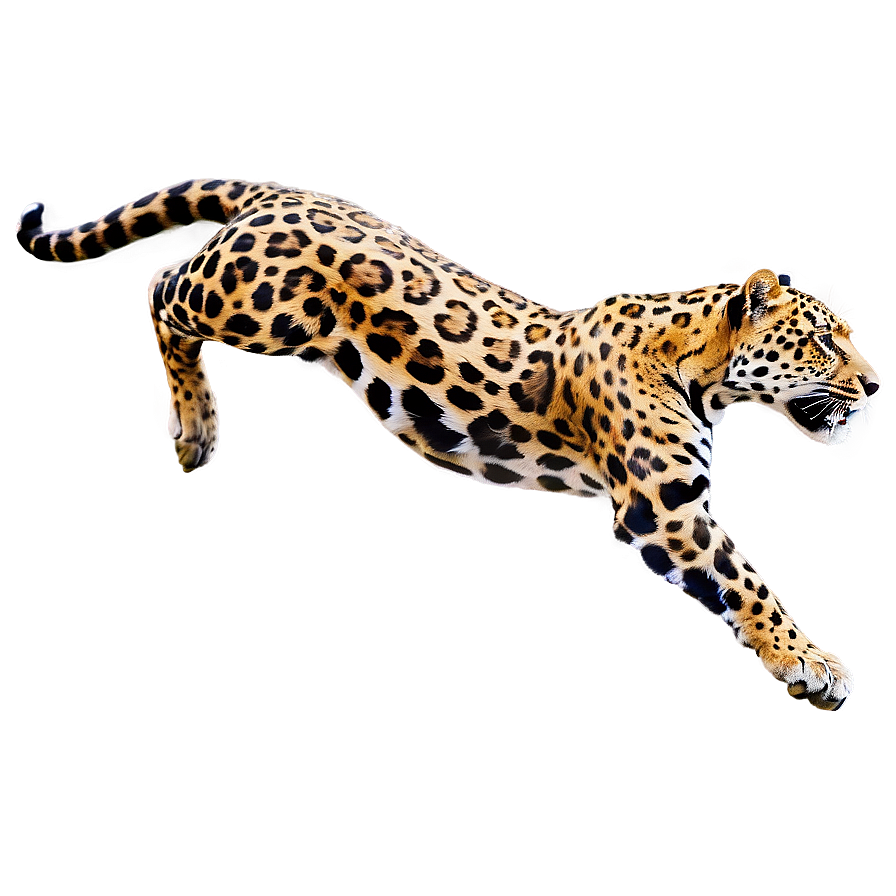 Leaping Jaguar Png 46 PNG Image