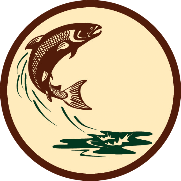 Leaping Salmon Graphic PNG Image