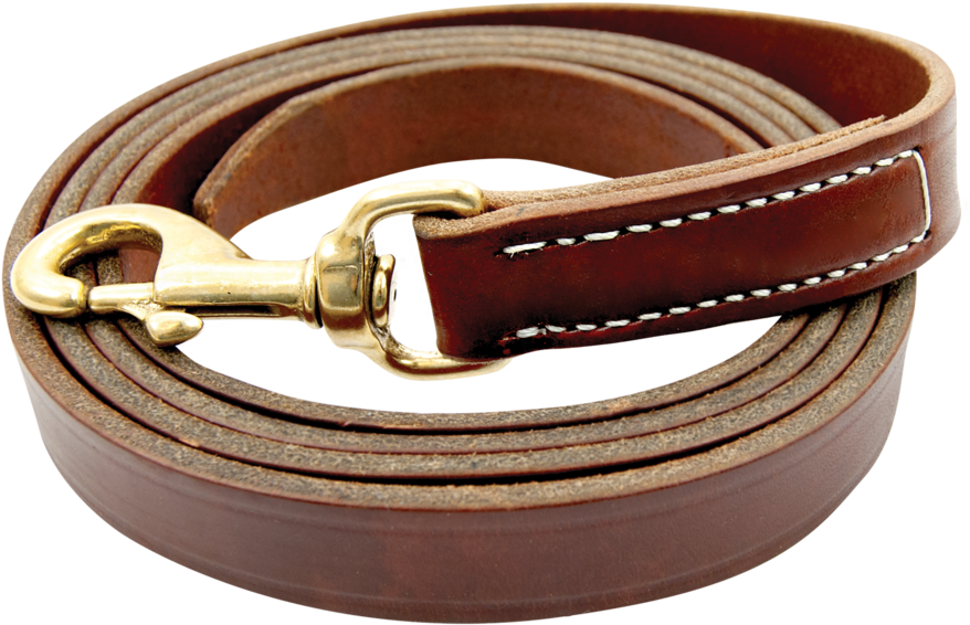 Leather Beltwith Gold Tone Hook Buckle PNG Image