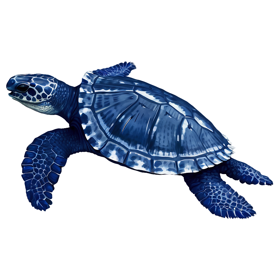 Leatherback Turtle In Deep Blue Png 16 PNG Image