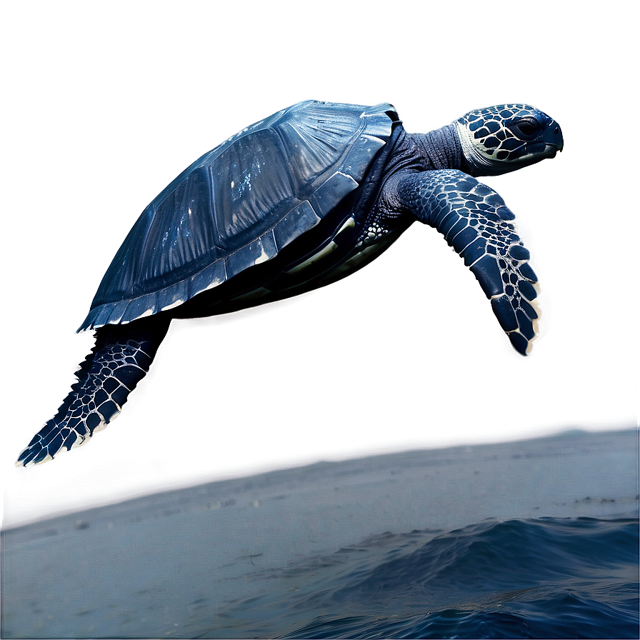 Leatherback Turtle Journey Across Oceans Png 06292024 PNG Image