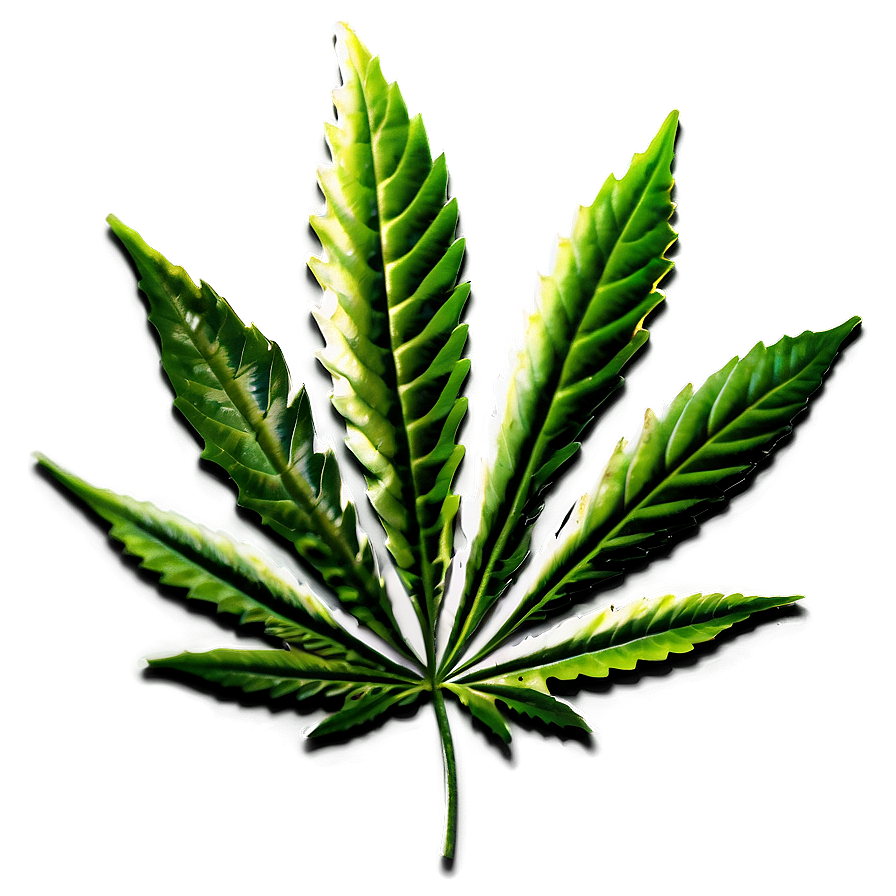 Legalize Cannabis Leaf Png Huq PNG Image