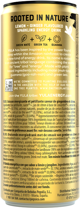 Lemon Ginger Flavored Energy Drink Can PNG Image