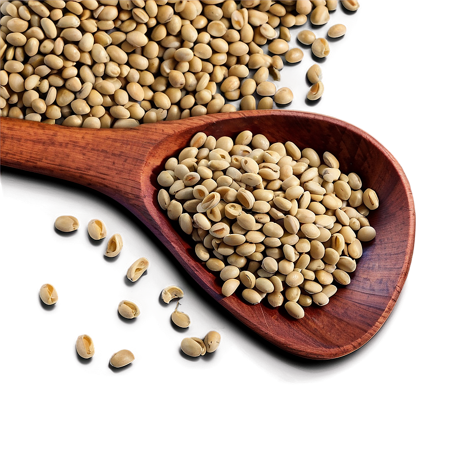 Lentils Beans Png 37 PNG Image