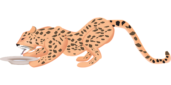 Leopard Drinking Milk Illustration PNG Image