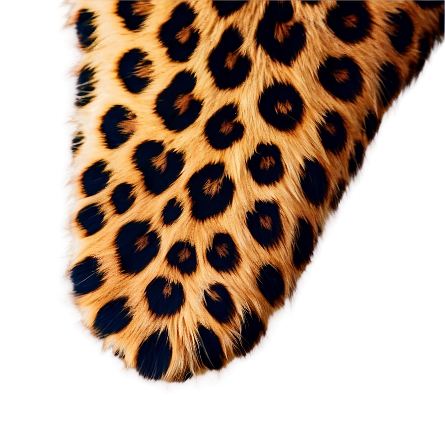 Leopard Fur Texture Png 11 PNG Image