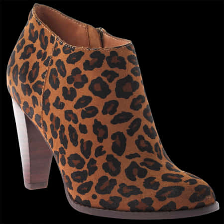 Leopard Print Ankle Boot PNG Image